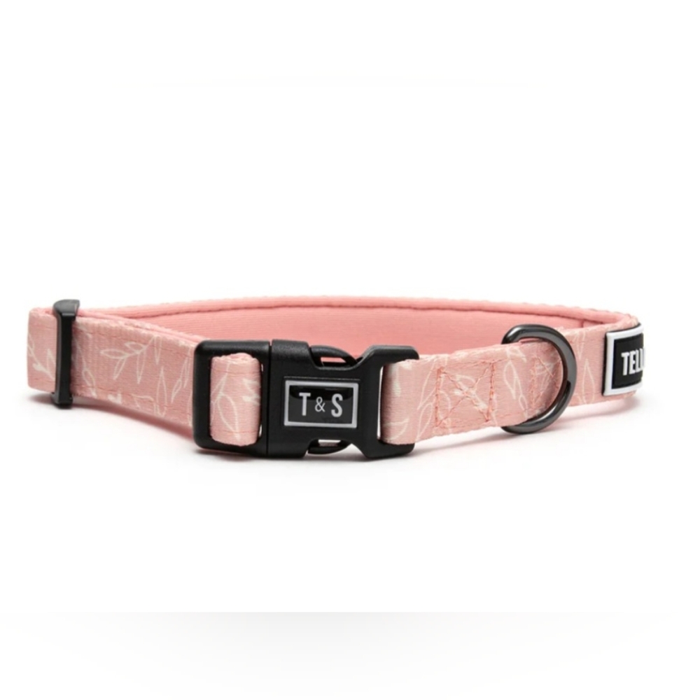 2 /$15  New Tella & Stella Designer Dog Collar  Althea  Size Large